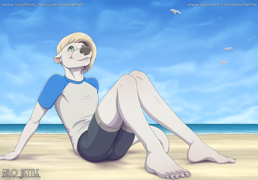 anthro avian bangs barefoot beach bird blonde_hair bottomwear clothed clothing cloud detailed_background feet fur green_eyes gull hair lari larid lutrine male mammal milo_nettle mustelid sea seaside shorts sky smile text url water white_body white_fur