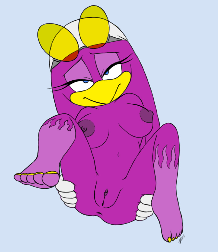 anthro anus avian bandanna bird blue_eyes breasts clothing color_edit colored edit excito eyewear feathers felicity_longis female genitals glasses gloves hand_on_butt handwear hi_res hirundinid looking_at_viewer lying nipples nude on_back pink_body pink_feathers purple_body purple_feathers purple_nipples pussy solo sonic_riders sonic_the_hedgehog_(series) spreading swallow_(bird) wave_the_swallow