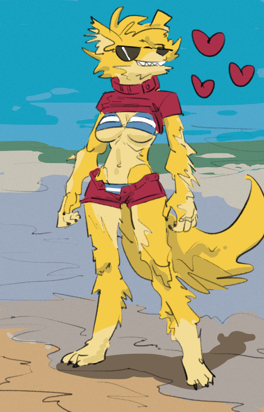 2020 absurd_res alloglove beach bikini breasts canid canine canis clothed clothing digital_media_(artwork) domestic_dog eyewear female fur hair hi_res mammal outside raised_clothing raised_shirt sand sea seaside skimpy sky smile solo sunglasses swimwear water yellow_body yellow_fur