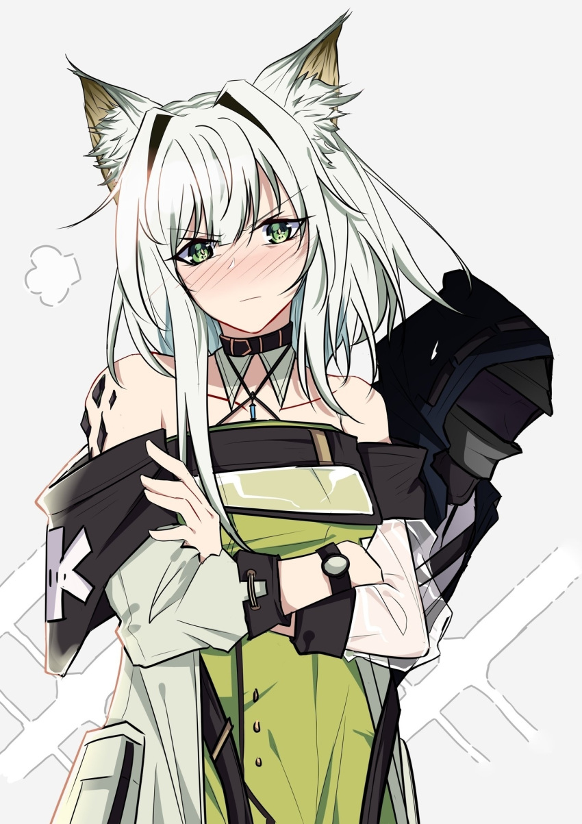 1boy 1girl animal_ear_fluff animal_ears arknights bangs bare_shoulders blush can't_be_this_cute cat_ears choker coat commentary crossed_arms detached_collar doctor_(arknights) dress english_commentary eyebrows_visible_through_hair green_dress green_eyes grey_background highres kal'tsit_(arknights) ore_lesion_(arknights) ore_no_imouto_ga_konna_ni_kawaii_wake_ga_nai pokarii_zuu short_hair silver_hair watch white_coat wristwatch