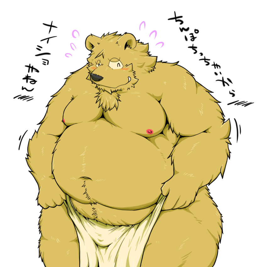 1:1 2014 alpha_channel anthro belly brown_body brown_fur bulge fur hi_res humanoid_hands japanese_text kemono male mammal moobs navel nipples overweight overweight_male solo suishou0602 text ursid