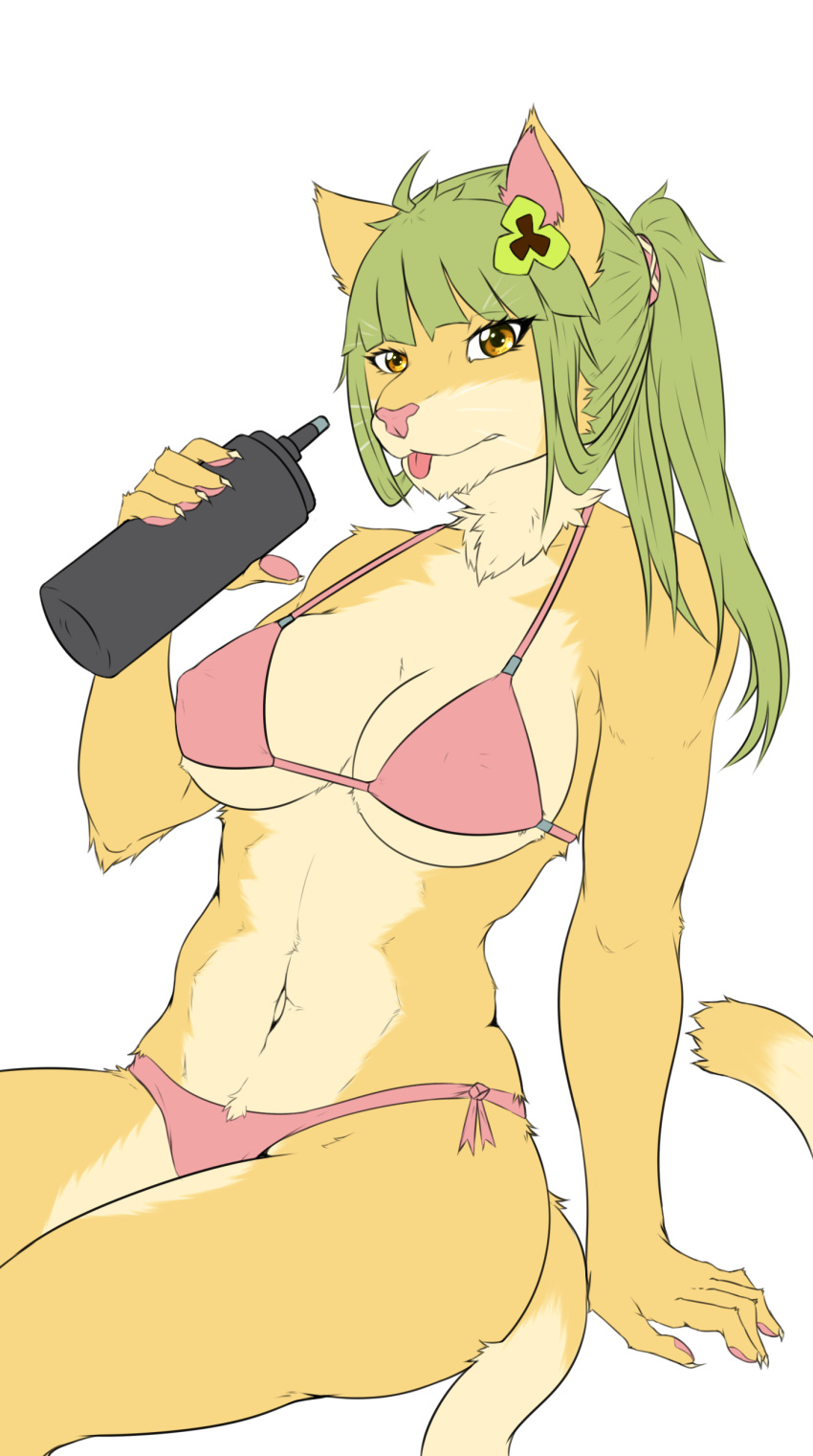 2019 5_fingers absurd_res accessory amesho anthro arm_support bikini bottle breasts claws clothing countershading domestic_cat felid feline felis female fingers fur green_hair hair hair_accessory hairband hi_res holding_object kemono leaning leaning_back long_hair looking_at_viewer mammal multicolored_body multicolored_fur navel neck_tuft nipple_outline pawpads pink_nose pink_pawpads ponytail simple_background sitting solo swimwear tan_body tan_fur tongue tongue_out tuft two_tone_body two_tone_fur whiskers yellow_body yellow_eyes yellow_fur