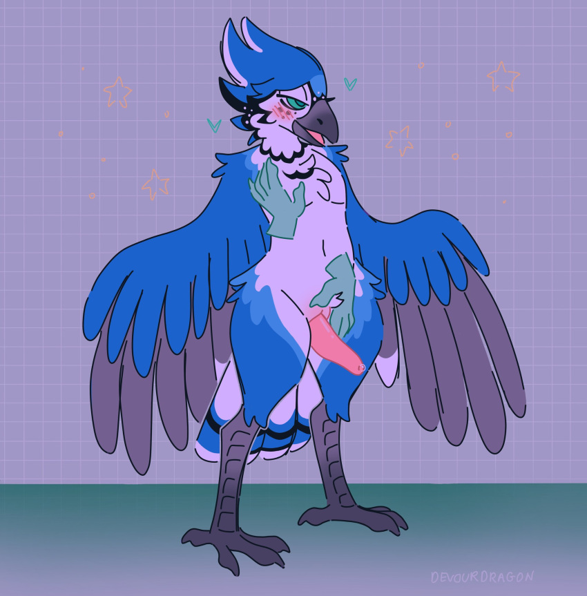 animal_genitalia anthro avian beak bird blue_jay bodily_fluids corvid cum cum_on_penis devour_dragon erection genital_fluids genital_slit genitals hi_res jay_(bird) looking_pleasured male new_world_jay penis precum rubbing simple_background slit solo star talons tapering_penis winged_arms wings