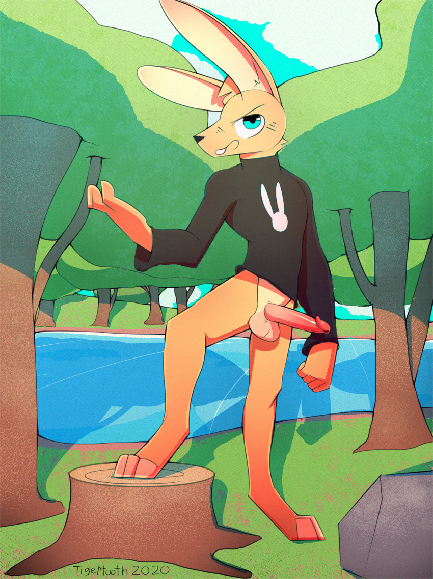 2020 anthro balls blue_eyes blush bottomless casual_nudity clothed clothing cloud day detailed_background digital_media_(artwork) erection fur genital_focus genitals glistening glistening_genitalia glistening_penis grass hare hi_res humanoid_genitalia humanoid_penis lagomorph lake leporid looking_at_viewer male mammal nude nudist open_mouth outside partially_clothed penis penis_focus pose rabbit red_penis rock sky slim smile solo solo_focus spread_legs spreading standing sweater teeth tigertooth topwear tree turtleneck water