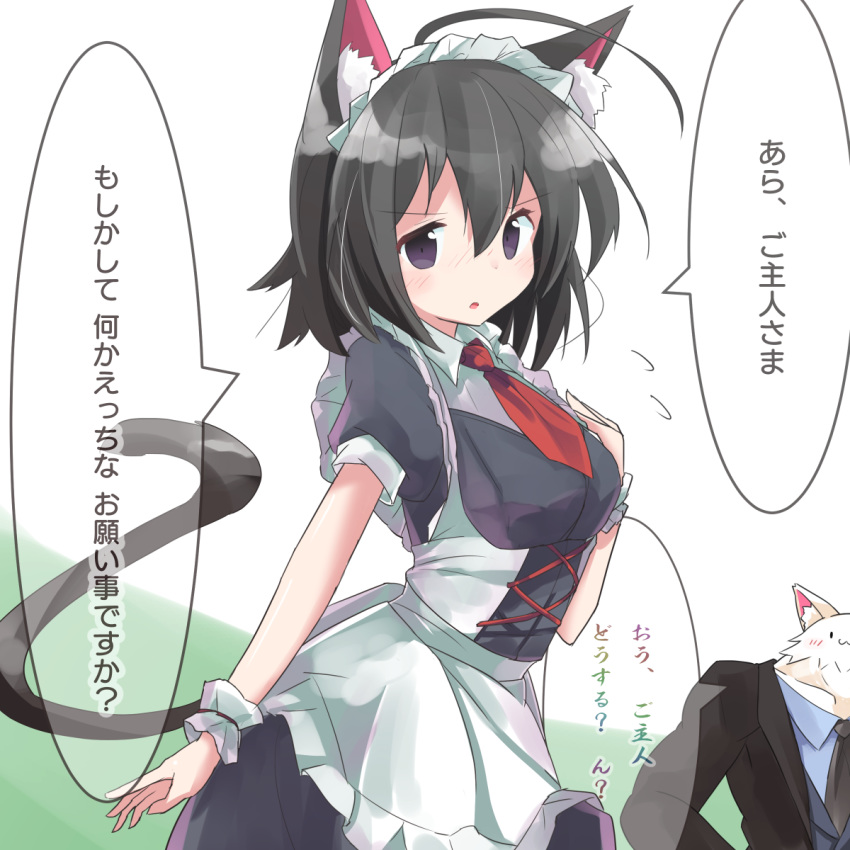 1girl :o animal animal_ear_fluff animal_ears apron bangs black_dress black_hair black_jacket black_neckwear black_vest blue_shirt blush cat_ears cat_girl cat_tail clothed_animal collared_shirt commentary_request dress eyebrows_visible_through_hair flying_sweatdrops formal frilled_apron frills green_background hair_between_eyes highres jacket maid maid_headdress necktie nose_blush open_clothes open_jacket original parted_lips puffy_short_sleeves puffy_sleeves purple_eyes red_neckwear revision ryogo shirt short_necktie short_sleeves solo_focus suit tail translation_request two-tone_background vest white_apron white_background