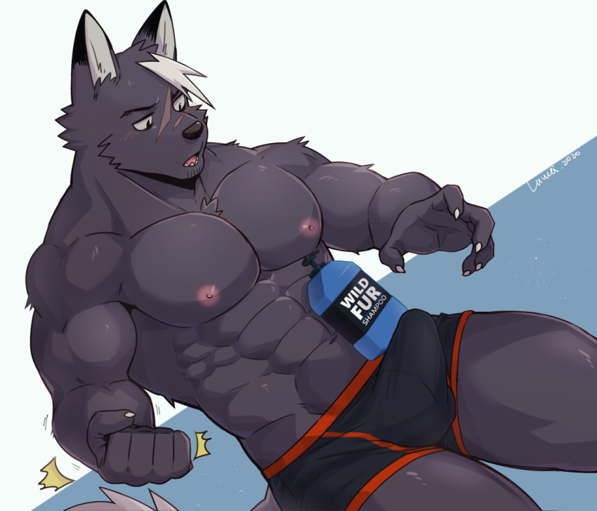 2020 5_fingers abs anthro black_body black_fur black_nose bulge canid canine chang52084 claws clothed clothing fingers fur luwei_(artist) male mammal muscular muscular_male nipples pecs scar shampoo_challenge signature solo topless underwear