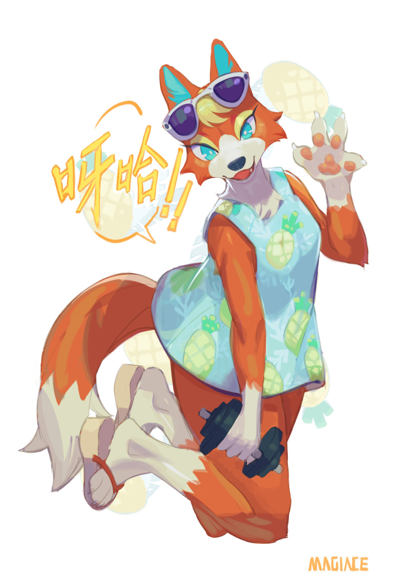 2020 absurd_res animal_crossing anthro audie_(animal_crossing) blue_eyes canid canine canis chinese_text clothed clothing dress dumbbell eyewear female footwear fur gloves_(marking) hi_res leg_markings magiace mammal markings nintendo orange_body orange_fur sandals simple_background socks_(marking) solo sunglasses text translation_request video_games weights white_background wolf