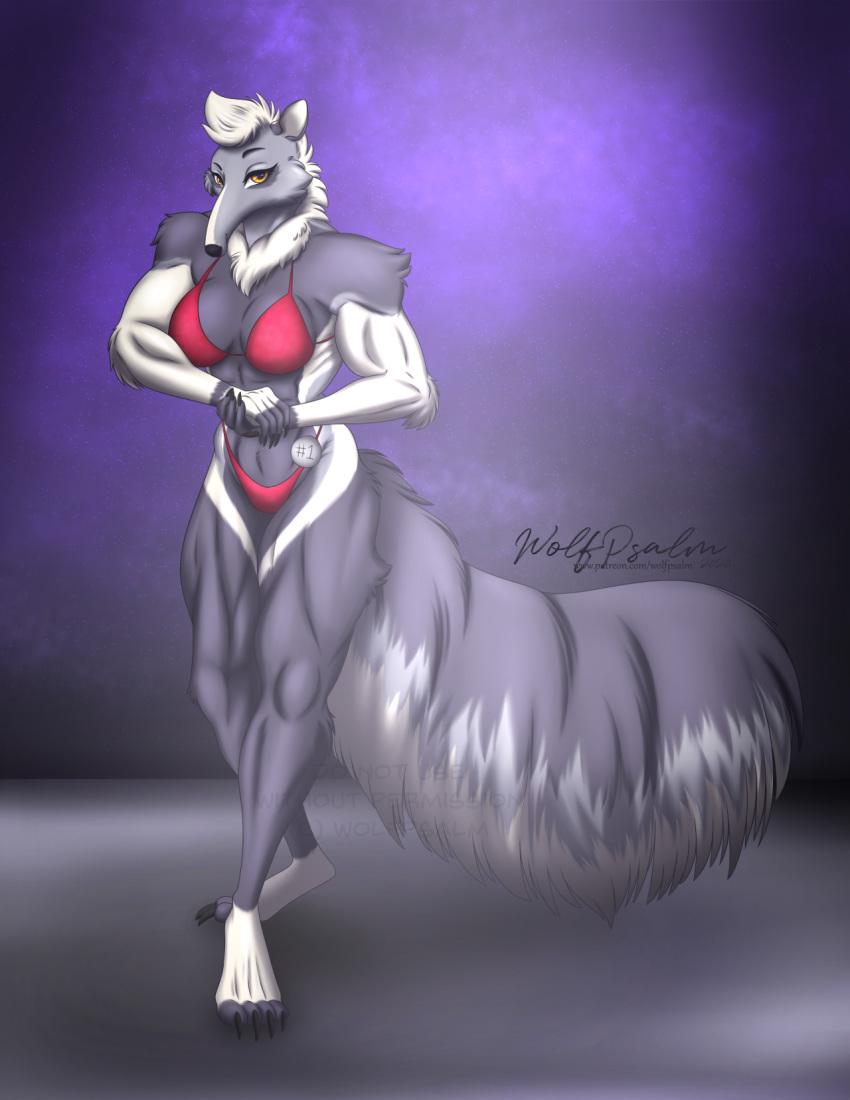 anteater anthro athletic bikini clothing female fur giant_anteater grey_body grey_fur hair hi_res mammal muscular pilosan red_clothing short_hair solo swimwear white_hair wolfpsalm xenarthran yellow_eyes