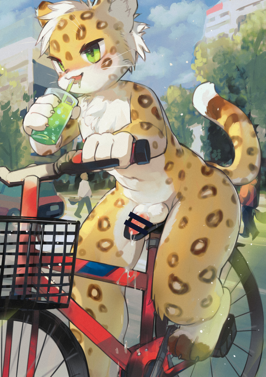 2020 absurd_res animal_genitalia animal_penis anthro balls beverage bicycle bodily_fluids censored claws countershade_face countershade_torso countershading detailed_background drinking erection felid feline felis fur genital_fluids genitals green_eyes head_tuft hi_res holding_object kiyosan_(artist) leopard_spots looking_ahead male mammal nude outside penis precum public sitting solo spots spotted_body spotted_fur tuft voyeur whiskers yellow_body yellow_fur