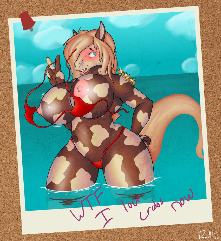 anthro arthropod big_breasts bikini blonde_hair blue_eyes blush breasts brown_body brown_fur clothing clothing_malfunction crab crustacean dappled decapoda eleanor_(randt) equid equine female fur hair hi_res horse huge_breasts looking_at_viewer malacostracan mammal marine nipples open_mouth randt sea simple_background smile solo swimwear text torn_clothing water white_body white_fur