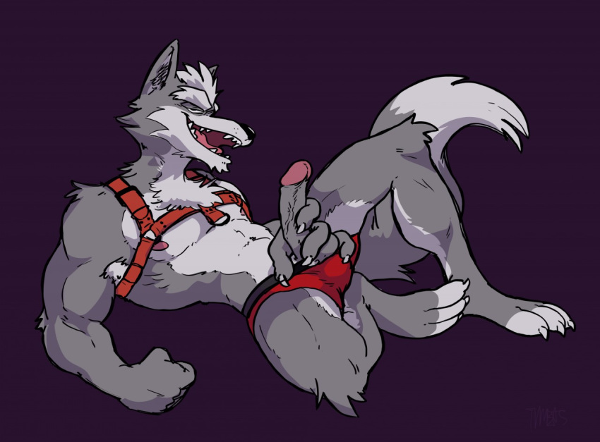 anthro armpit_hair body_hair canid canine canis clothing erection fur genitals grey_body grey_fur humanoid_genitalia humanoid_penis male mammal muscular muscular_male nintendo penis solo star_fox thong timbits underwear video_games wolf wolf_o'donnell