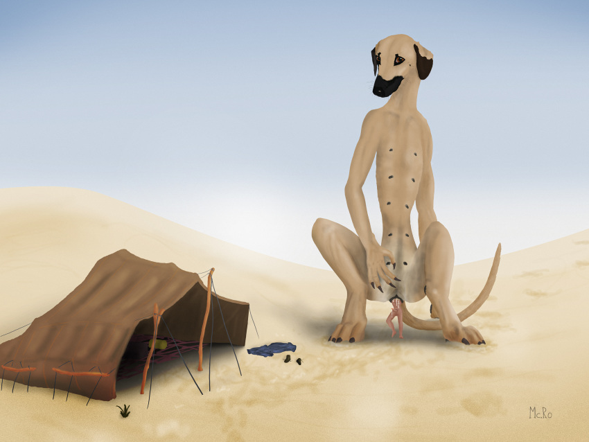 anthro bedouin bestiality black_nose canid canine canis desert digital_drawing_(artwork) digital_media_(artwork) domestic_dog duo endosoma erection female feral greyhound hi_res human human_on_anthro human_on_feral hunting_dog interspecies larger_female macro male male/female mammal mcro micro morocco outside sex sighthound size_difference skinny skinny_dog skinny_hound slim sloughi unbirthing vaginal vore