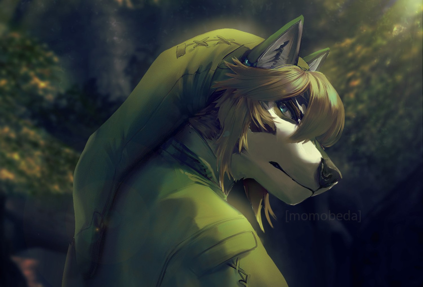 blue_eyes clothing detailed forest green_clothing headgear headwear link link_(wolf_form) looking_at_viewer male momobeda nintendo solo solo_focus the_legend_of_zelda tree video_games