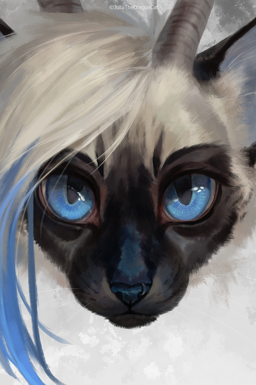 2020 2:3 black_nose blue_eyes digital_media_(artwork) domestic_cat felid feline felis fur hi_res horn hybrid juliathedragoncat looking_at_viewer mammal whiskers white_body white_fur