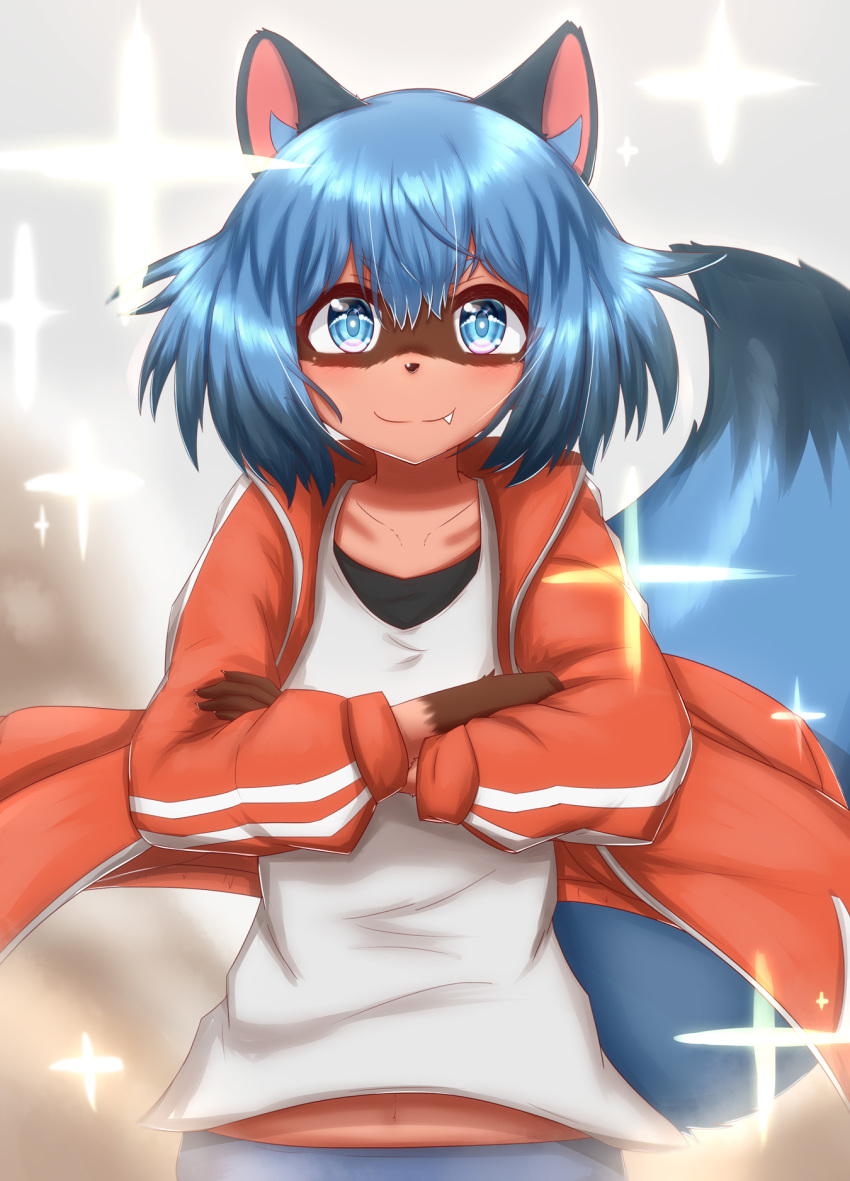 2020 5_fingers anthro black_ears black_nose blue_eyes blue_hair blush brand_new_animal brown_body brown_fur canid canine clothed clothing crossed_arms cute_fangs dipstick_tail female fingers fur gloves_(marking) hair half-length_portrait happy hi_res horokusa0519 jacket looking_at_viewer mammal markings michiru_kagemori multicolored_hair multicolored_tail navel portrait raccoon_dog red_clothing shirt short_hair smile solo star studio_trigger tanuki topwear white_clothing
