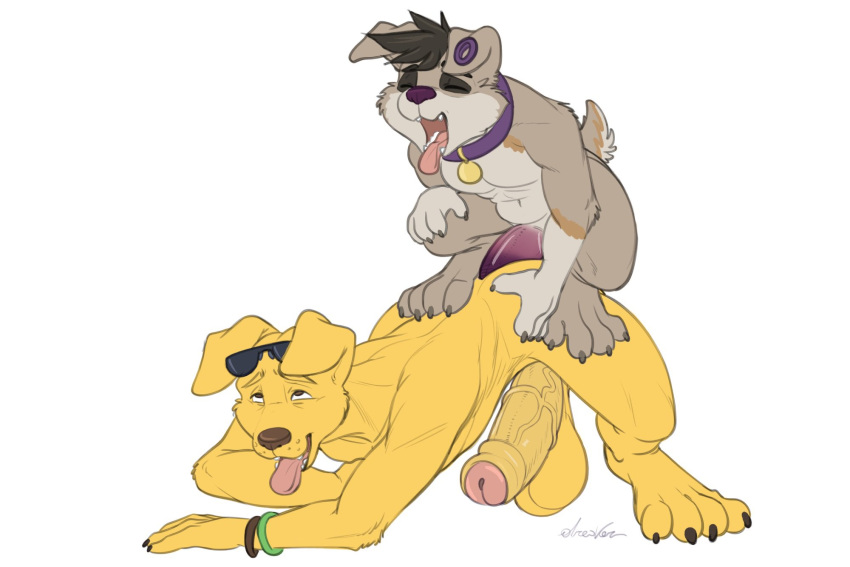 all_fours anal anal_penetration anthro balls big_balls big_penis bird_dog bojack_horseman canid canine canis doggystyle domestic_dog dreiker duo ear_piercing english_text eyewear eyewear_on_head from_behind_position genitals glasses glasses_on_head herding_dog hi_res huge_balls huge_penis hunting_dog labrador looking_pleasured male male/male mammal mr._peanutbutter netflix open_mouth pastoral_dog penetration penis piercing purple_nose purple_penis retriever sex size_difference small_dom_big_sub text tunny uncut welsh_corgi