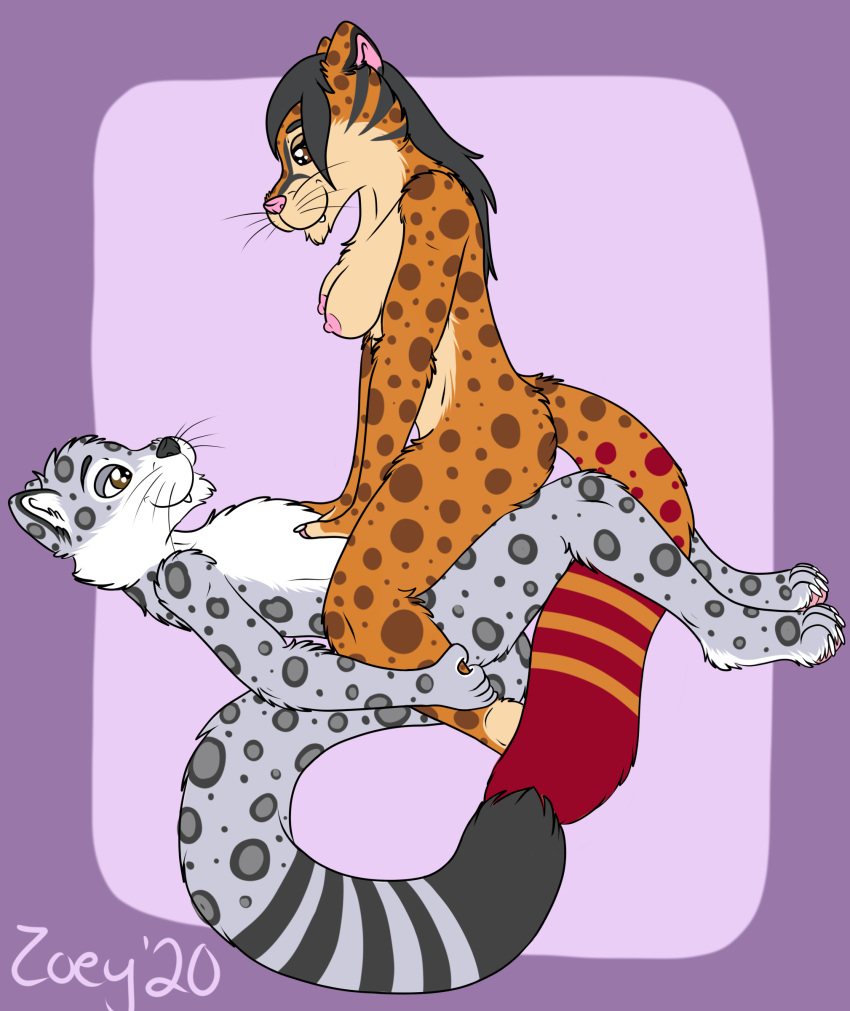 absurd_res anthro colored_tail cowgirl_position duo felid feline female fur hi_res leopardus male male/female mammal ocelot on_top pantherine sex snow_leopard spots spotted_body spotted_fur thatcatzoey