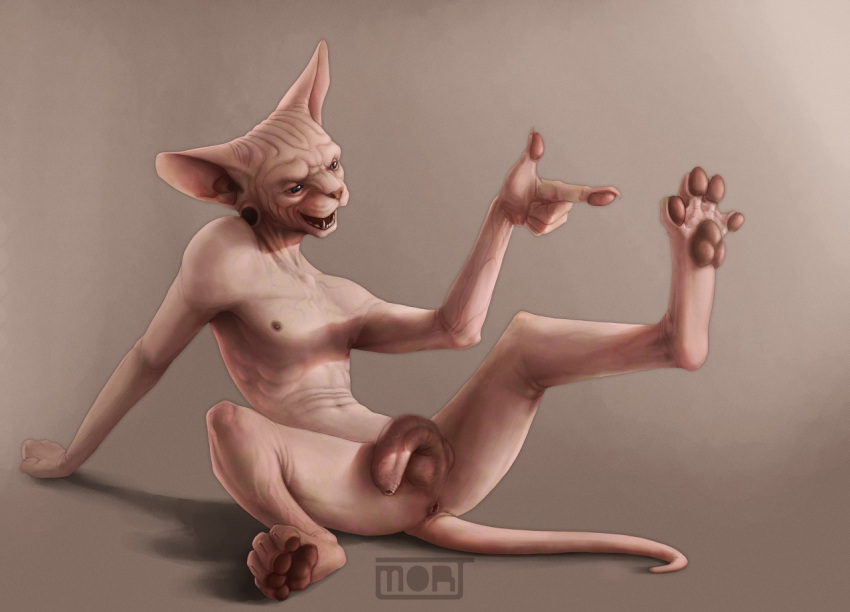 4_toes 5_fingers anthro anus arm_support balls blue_eyes brown_nipples brown_nose brown_pawpads casual_nudity domestic_cat ear_piercing fangs felid feline felis fingerpads fingers flaccid foreskin front_view gauged_ear genitals gesture hairless hairless_cat humanoid_genitalia humanoid_penis leaning leaning_back light lighting long_foreskin male mammal mortim-art navel nipples nude open_mouth painting_(artwork) pawpads paws penis piercing pink_body pink_skin pointing pointing_at_foot pointing_at_self raised_leg retractable_claws ribs shadow simple_background sitting skinny solo sphynx_(cat) spread_legs spreading toes traditional_media_(artwork) uncut unretracted_foreskin vein veiny_penis wrinkles