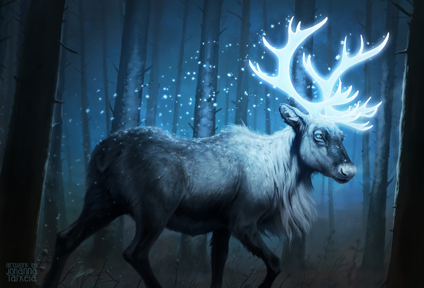 ambiguous_gender antlers blue_eyes capreoline cervid detailed_background feral forest fur grass grey_body grey_fur horn johis mammal night outside reindeer solo tree