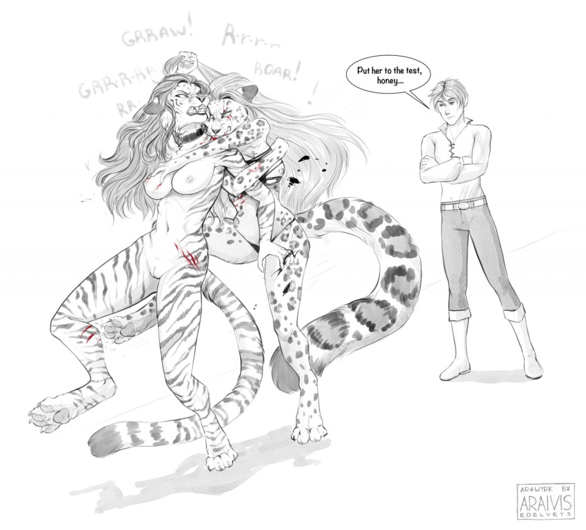 anthro araivis-edelveys blood bodily_fluids breasts clothed clothed/nude clothing english_text felid female fight genitals group hair human long_hair male mammal navel nipples nude pantherine pussy snow_leopard text tiger