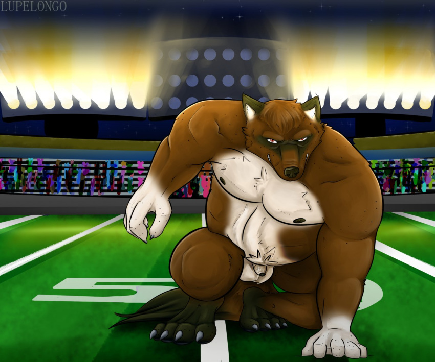 anthro balls belly detailed_background digital_media_(artwork) exhibitionism flaccid football_(disambiguation) fur genitals hair humanoid_genitalia humanoid_penis looking_at_viewer lupelongo male mammal muscular muscular_male night nipples nude outside penis player public sky smile solo sport stadium standing star uncut