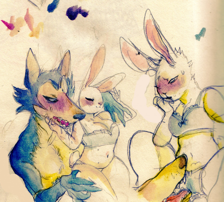 anthro anthro_on_anthro beastars blush bodily_fluids bra breasts camel_toe canid canine canis cleavage clothed clothing domestic_rabbit drooling duo female haru_(beastars) interspecies lagomorph legoshi_(beastars) leporid male male/female mammal muura open_mouth oryctolagus painting_(artwork) panties predator/prey rabbit saliva traditional_media_(artwork) underwear watercolor_(artwork) wet wet_clothing wet_panties wet_underwear wolf