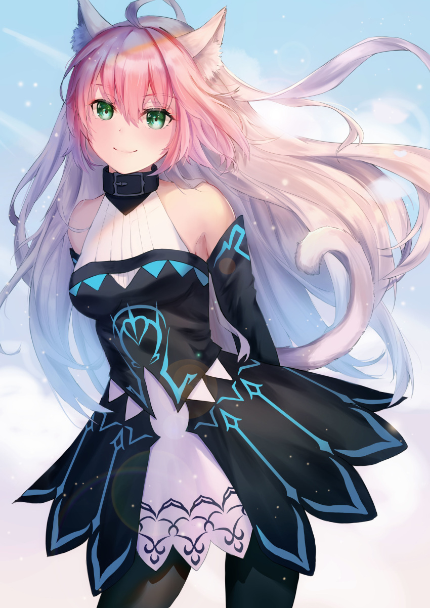 136364 1girl absurdres ahoge animal_ears arms_behind_back atalanta_(alter)_(fate) atalanta_(fate) bangs bare_shoulders belt_collar black_collar black_dress black_legwear blush braid breasts cat_ears cat_tail collar dress fate/apocrypha fate/grand_order fate_(series) green_eyes grey_hair hair_between_eyes highres long_hair long_sleeves looking_at_viewer pink_hair small_breasts solo tail