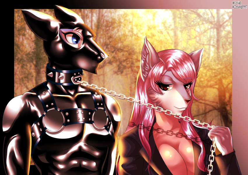 2020 absurd_res anthro bdsm black_collar blue_eyes breasts brienne_(cosia) canid canine canis chain chain_leash collar cosia domination duo female female_domination hair hi_res holding_leash holding_object leash male mammal outside petplay pink_hair roleplay sergal slate_(cosia) submissive submissive_male wolf