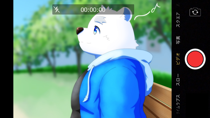 2020 absurd_res anthro belly blue_eyes clothing fur hi_res hoodie japanese_text kemono mammal no_tes outside overweight polar_bear shirane_kan sitting solo text topwear ursid ursine utau white_body white_fur