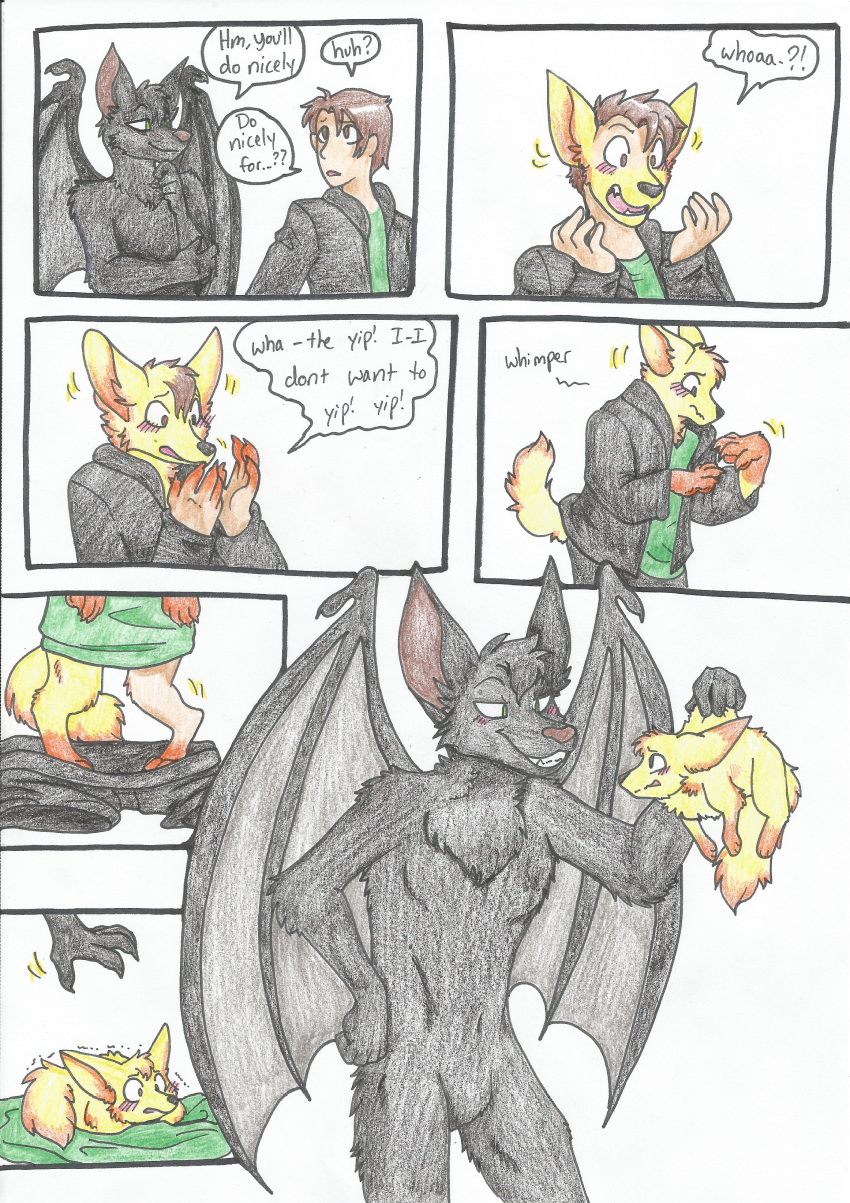 absurd_res anthro bat_wings black_body black_fur black_nose blush brown_nose canid canine chiropteran clothing comic english_text fangs fennec feral fox fur green_eyes hair hi_res human human_to_feral male mammal membrane_(anatomy) membranous_wings open_mouth orange_body orange_fur rainbowraven scared sharp_teeth shrinking species_transformation teeth text traditional_media_(artwork) transformation wings yellow_body yellow_fur