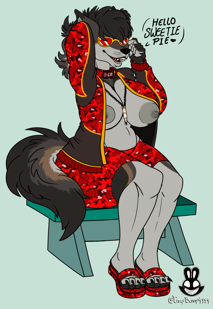 absurd_res anthro bench big_breasts breasts canid canine christomwow collar eyewear female hi_res mammal nipples sharp_teeth sitting solo sunglasses teeth thick_thighs