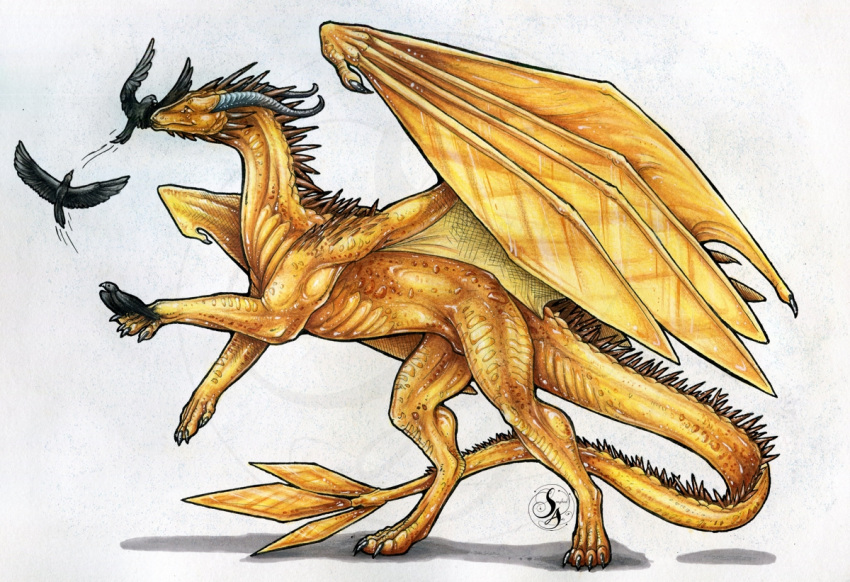 2020 4_toes ambiguous_gender black_body black_feathers claws dragon feathered_wings feathers feral gold_scales group horn membrane_(anatomy) membranous_wings natoli scales scalie simple_background spines toes traditional_media_(artwork) western_dragon wings yellow_body yellow_scales