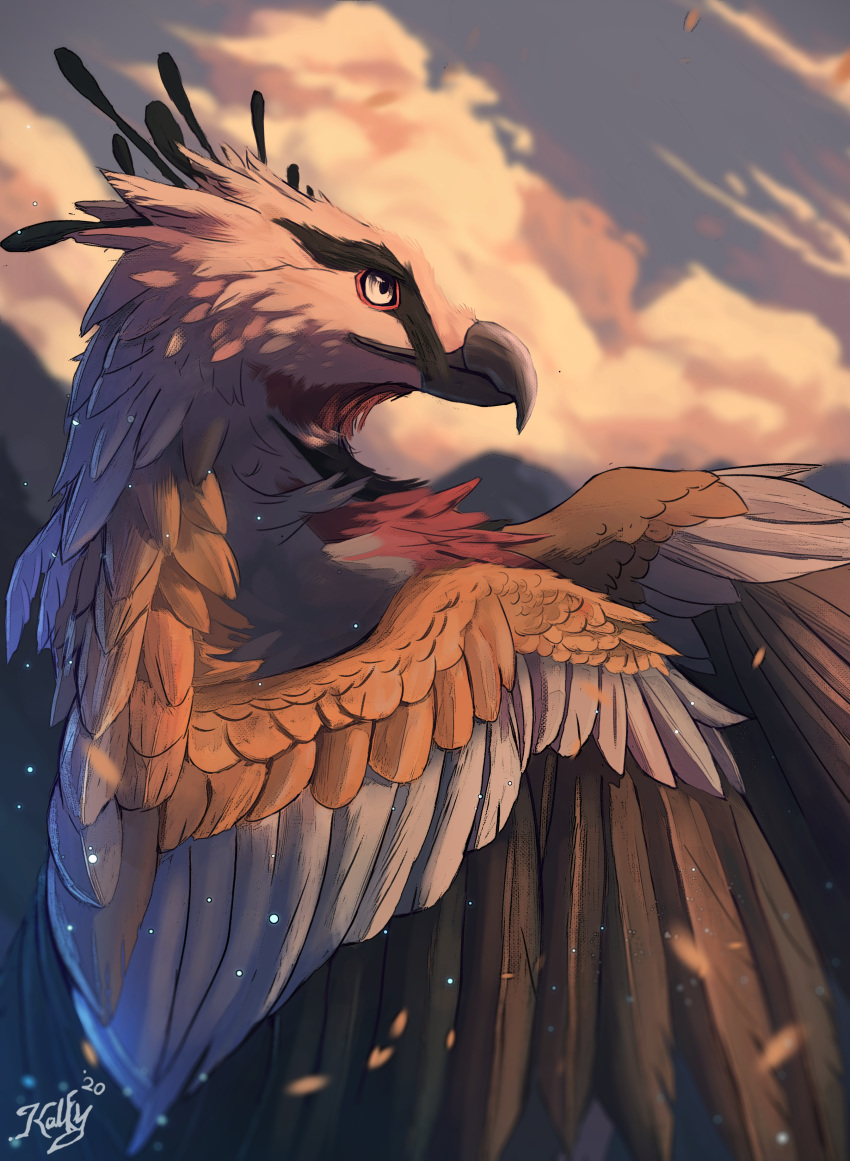 2020 absurd_res accipitrid accipitriform ambiguous_gender avian beak bearded_vulture bird day detailed_background digital_media_(artwork) feathered_wings feathers feral hi_res kalfy old_world_vulture outside sky solo vulture white_eyes wings
