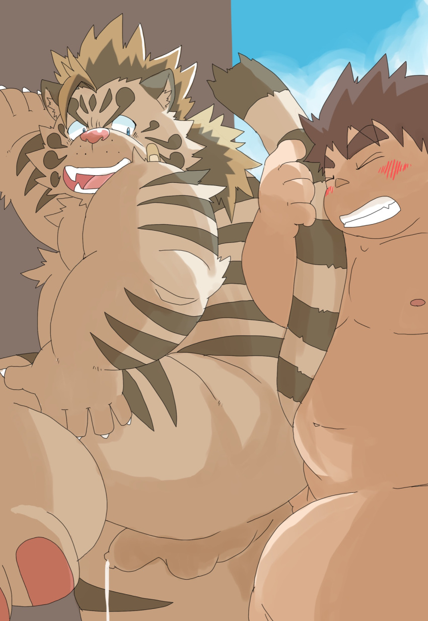 2020 anal anthro balls belly blush chubby_protagonist_(tas) duo felid genitals hi_res hottophoto human human_on_anthro humanoid_genitalia humanoid_hands humanoid_penis interspecies kemono licho_(tas) male male/male mammal moobs nipples overweight overweight_male pantherine penis protagonist_(tas) sex tiger tokyo_afterschool_summoners video_games