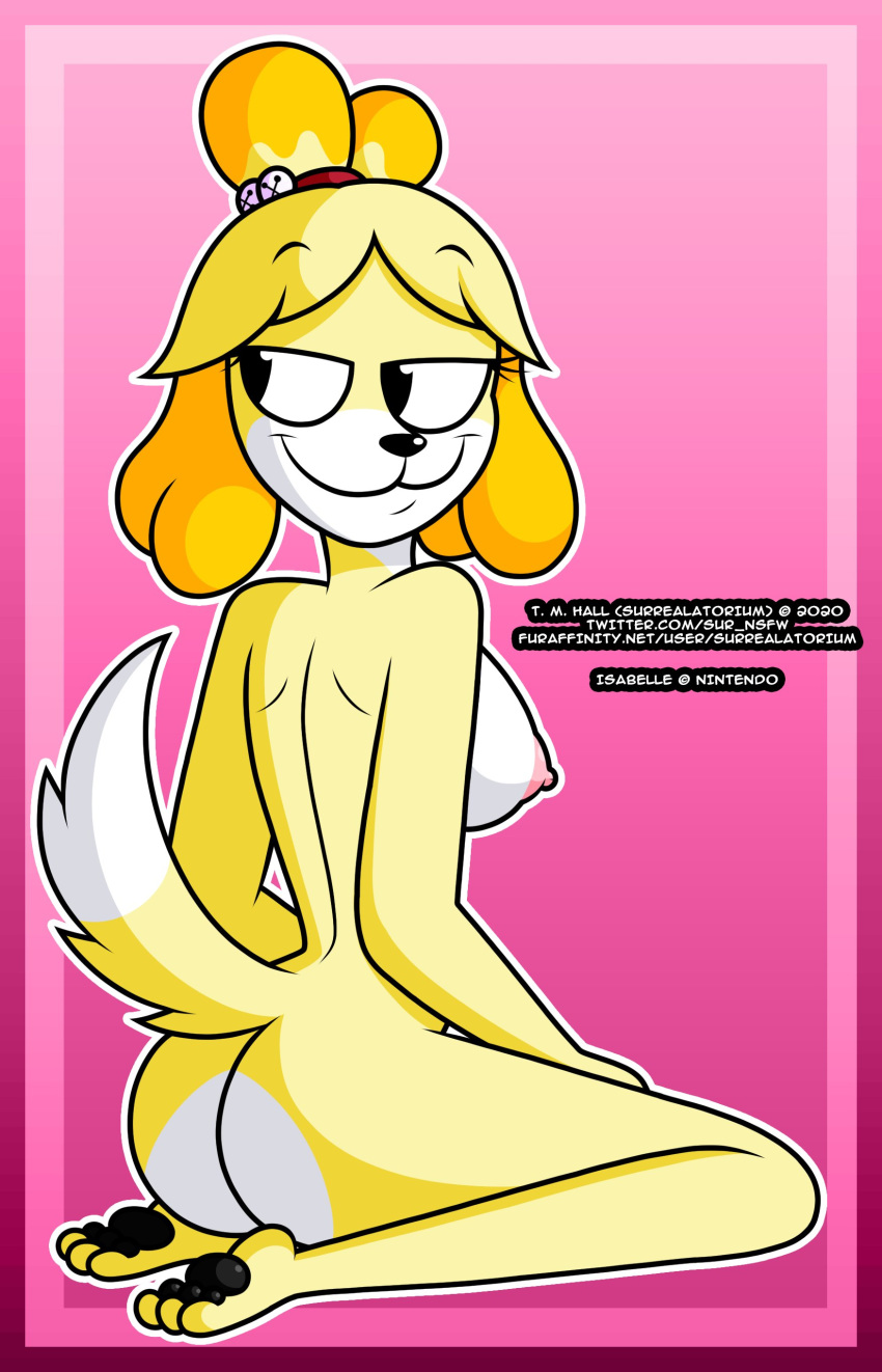 absurd_res animal_crossing anthro breasts butt canid canine canis domestic_dog erect_nipples female full-length_portrait fur hi_res isabelle_(animal_crossing) kneeling mammal naughty_face nintendo nipples nude portrait shih_tzu side_view solo surrealatorium text toony toy_dog url video_games yellow_body yellow_fur