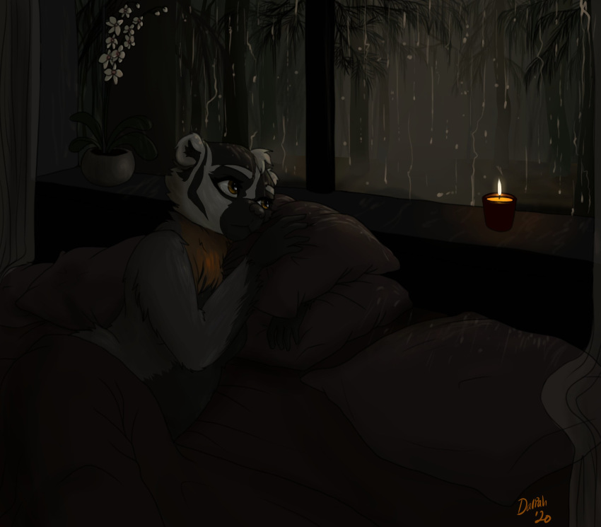 anthro badger bed biped black_body black_fur black_nose brown_eyes candle curtains daliahsart dark detailed_background female fire forest fur furniture hi_res inside looking_out_window lying mammal mustelid musteline nude on_bed orange_body orange_fur pillow plant raining slightly_chubby solo tree under_covers white_body white_fur window