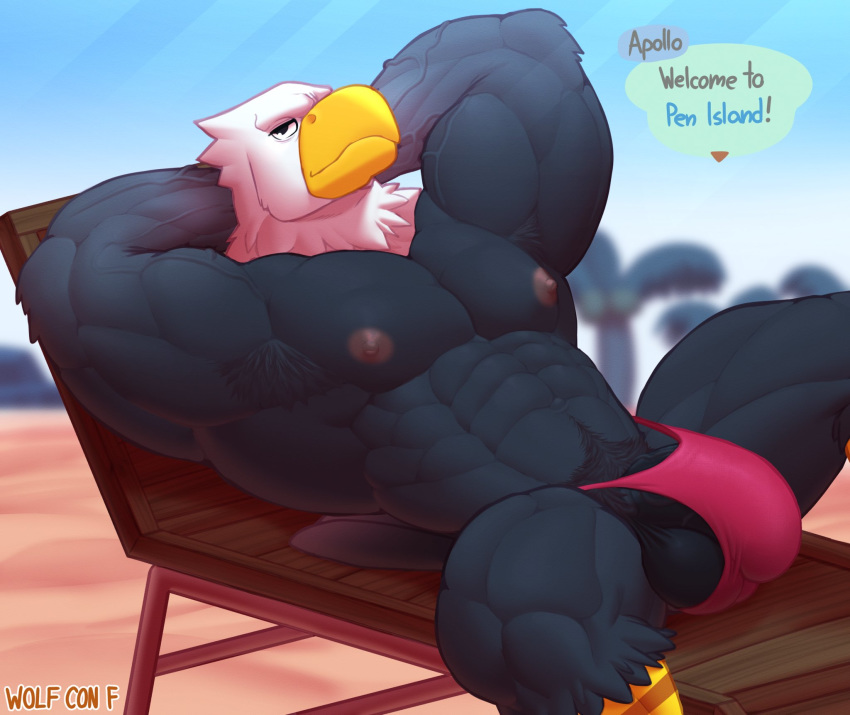 accipitrid accipitriform animal_crossing anthro apollo_(animal_crossing) armpit_hair avian balls barely_visible_genitalia barely_visible_penis bird body_hair bulge clothing eagle english_text genitals hi_res male muscular nintendo penis solo speedo swimwear text video_games wolfconfnsfw