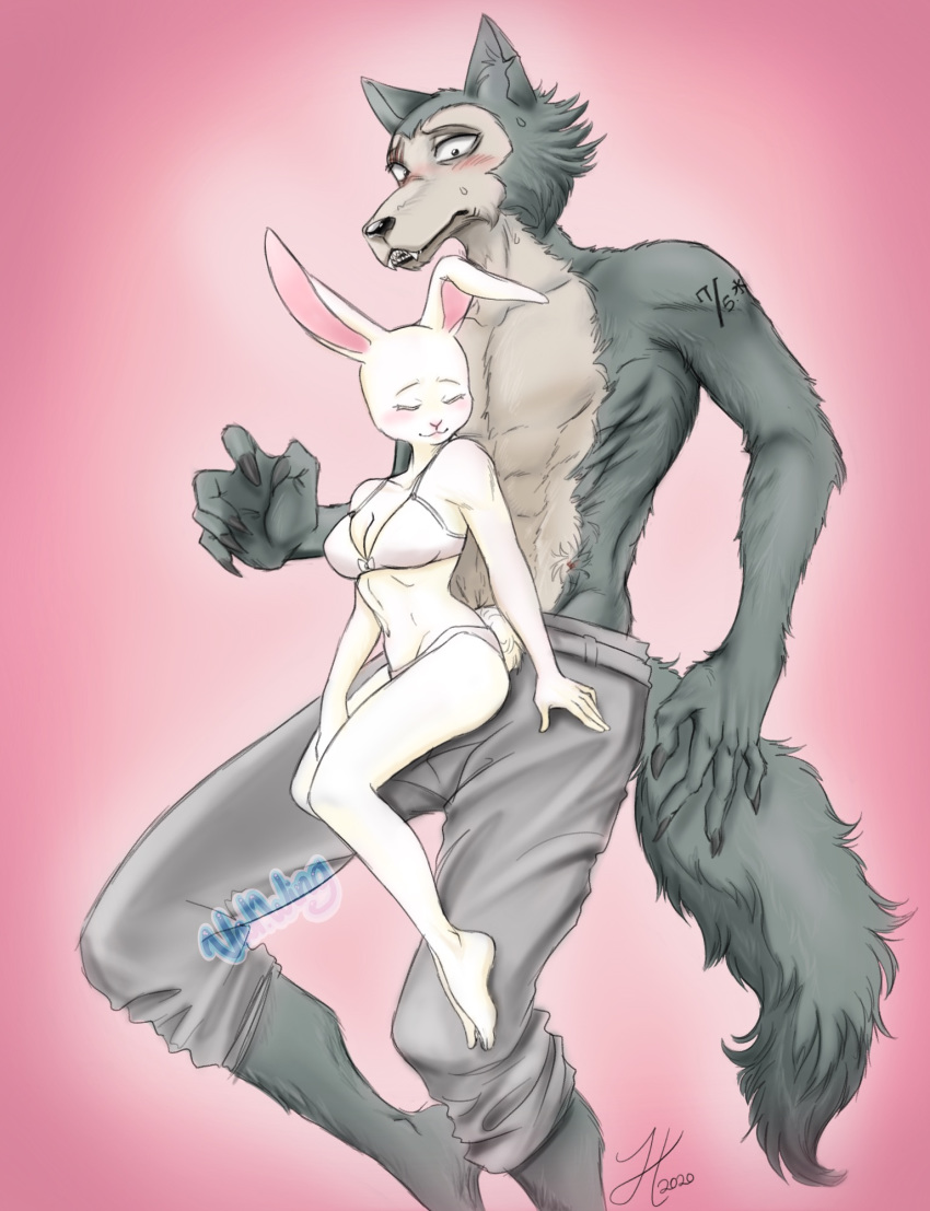 abs anthro anthro_on_anthro athletic beastars bra breasts canid canine canis cleavage clothed clothing domestic_rabbit duo dwarf_rabbit eyes_closed female fur grey_body grey_fur haru_(beastars) hi_res interspecies lagomorph larger_male legoshi_(beastars) leporid male male/female mammal oryctolagus panties predator/prey rabbit size_difference smaller_female topless underwear valwing white_body white_fur wolf