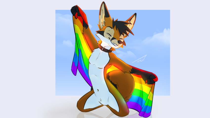 16:9 anthro black_hair canid canine canis collar featureless_crotch flag fox fur hair hybrid lgbt_pride male mammal nude orange_body orange_fur pride_colors solo trevart vander white_body white_fur widescreen wolf