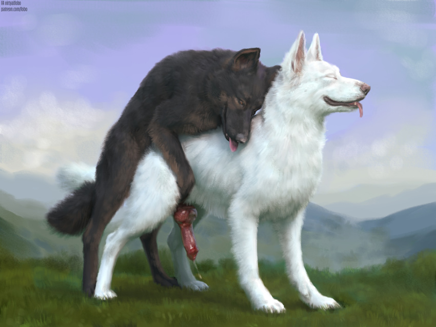 2020 4:3 absurd_res anal anal_penetration animal_genitalia animal_penis bodily_fluids canid canine canine_penis canis cloud cum cumshot day detailed_background digital_media_(artwork) domestic_dog duo ejaculation erection eyes_closed feral feral_on_feral feral_penetrated feral_penetrating feral_penetrating_feral from_behind_position fur genital_fluids genitals german_shepherd grass hands-free herding_dog hi_res knot male male/male male_penetrated male_penetrating male_penetrating_male mammal maxiethesable mounting orgasm outside pastoral_dog penetration penis quadruped sex sky smile tongue tongue_out virtyalfobo