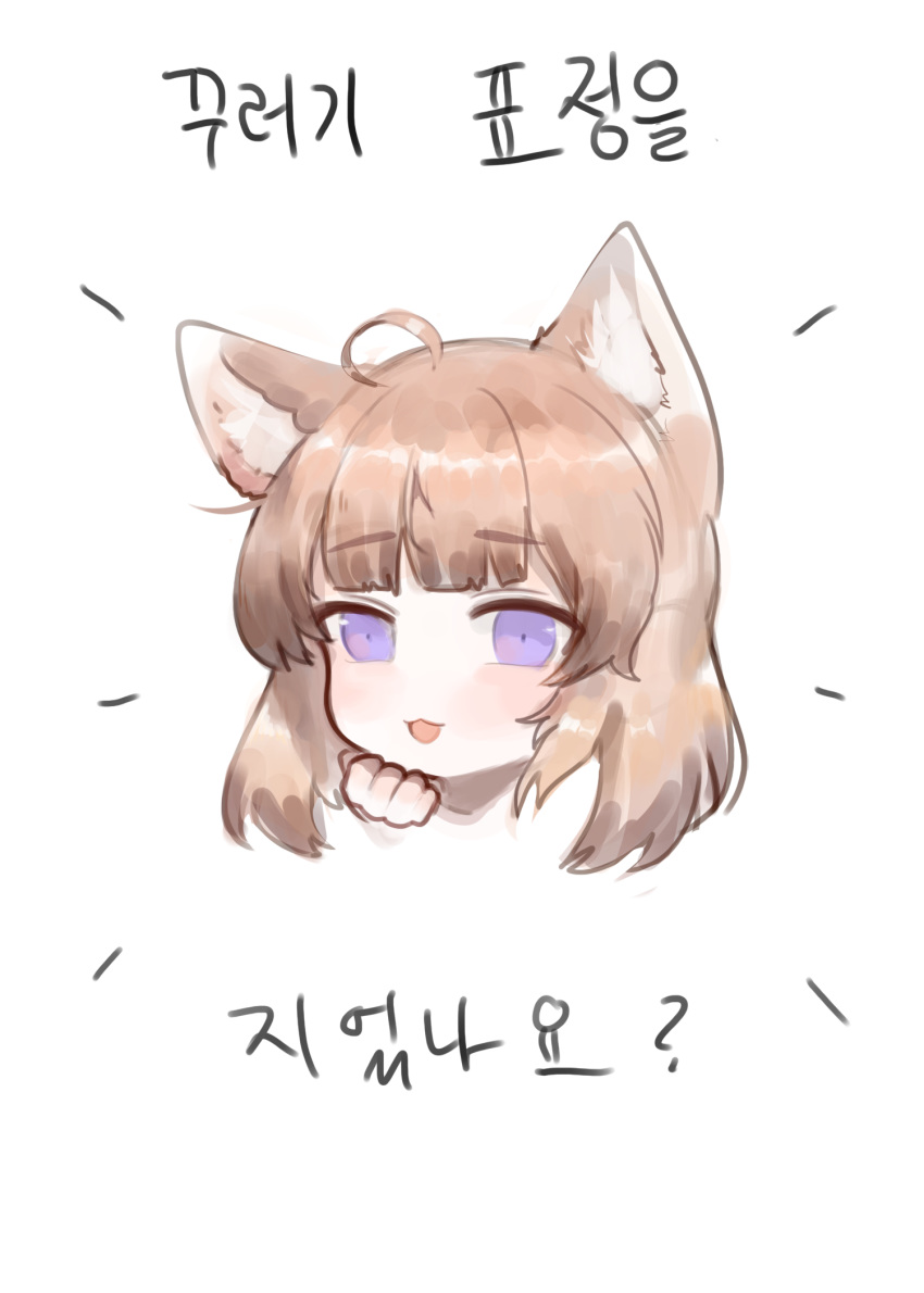 1girl :3 :d ahoge animal_ear_fluff animal_ears bangs blush brown_hair commentary_request dokomon eyebrows_visible_through_hair hand_up head highres korean_commentary korean_text looking_at_viewer open_mouth original purple_eyes simple_background smile solo translation_request white_background