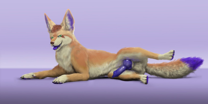 2017 animal_genitalia animal_penis balls canid canine canine_penis claws dipstick_tail erection fenki feral fox fur genitals green_eyes knot looking_at_viewer lying male mammal multicolored_body multicolored_fur multicolored_tail open_mouth pawpads penis purple_pawpads purple_penis purple_tongue raised_leg solo tongue virtyalfobo whiskers