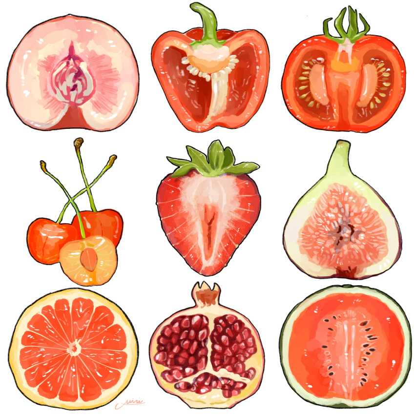 bell_pepper bell_pepper_slice cherry cherry_slice food food_focus fruit highres miri_illust no_humans original peach peach_slice pomegranate simple_background strawberry strawberry_slice tomato tomato_slice white_background