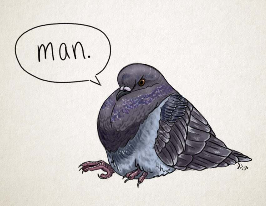 2023 ambiguous_gender beak brown_eyes dialogue english_text feathers feral grey_body grey_feathers hella-hannah-art purple_body purple_feathers rock_dove simple_background sitting solo text white_background