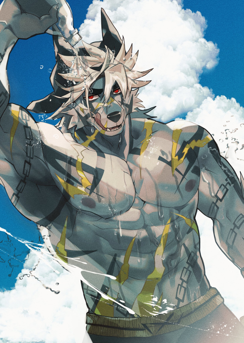 1boy abs animal_ears armpits bara blue_sky bottle cloud cloudy_sky commentary dog_boy dog_ears fang furry furry_male highres holding holding_bottle licking_lips looking_at_viewer male_focus ohayashi55 pectorals q'ursha_(housamo) red_eyes seductive_smile sky smile tokyo_afterschool_summoners tongue tongue_out topless_male water_bottle wet white_hair