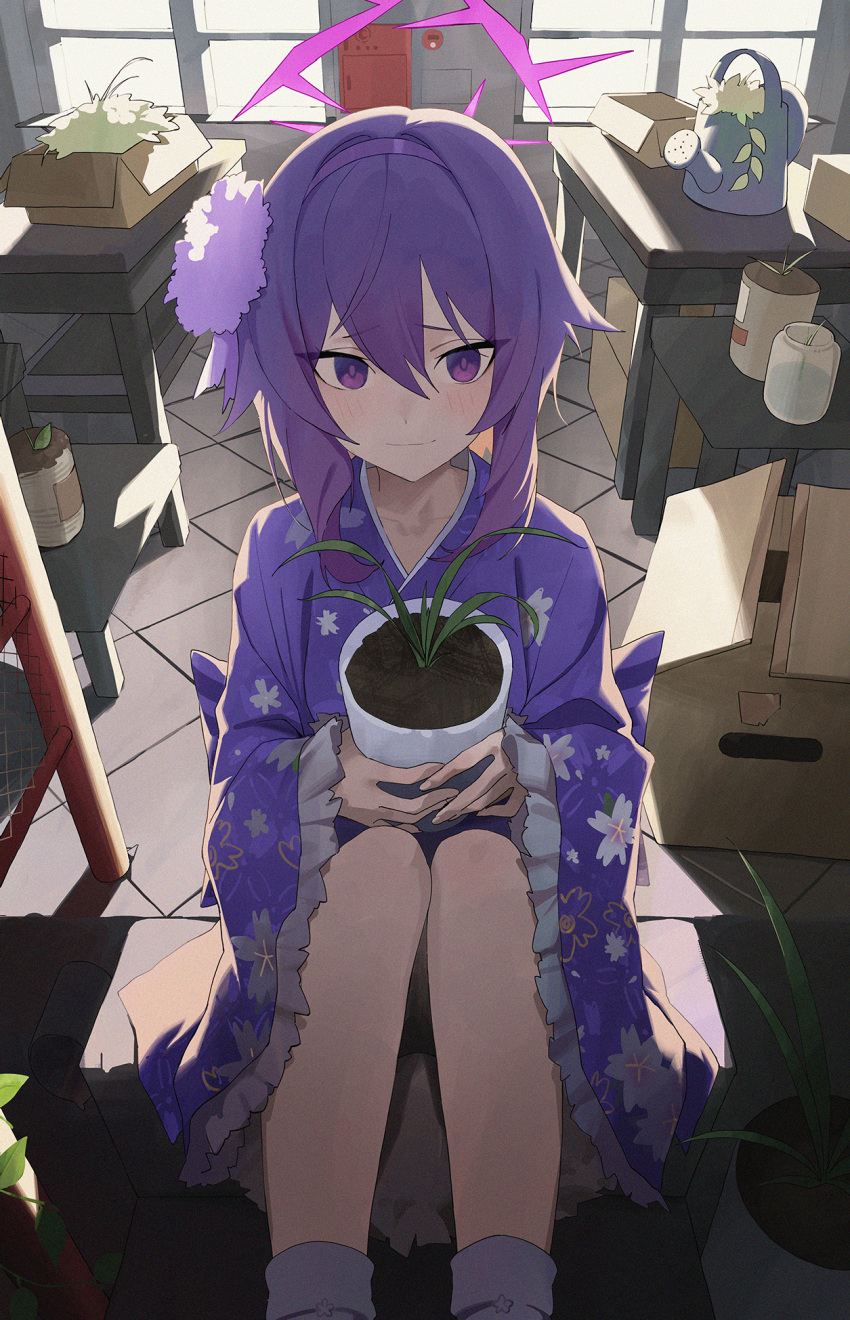 1girl blue_archive blush closed_mouth flower fukaumi_suichu hair_between_eyes hair_flower hair_ornament halo haruka_(blue_archive) haruka_(new_year)_(blue_archive) highres indoors japanese_clothes kimono long_sleeves looking_at_viewer medium_hair plant potted_plant purple_eyes purple_flower purple_hair purple_halo purple_kimono socks solo watering_can white_socks wide_sleeves