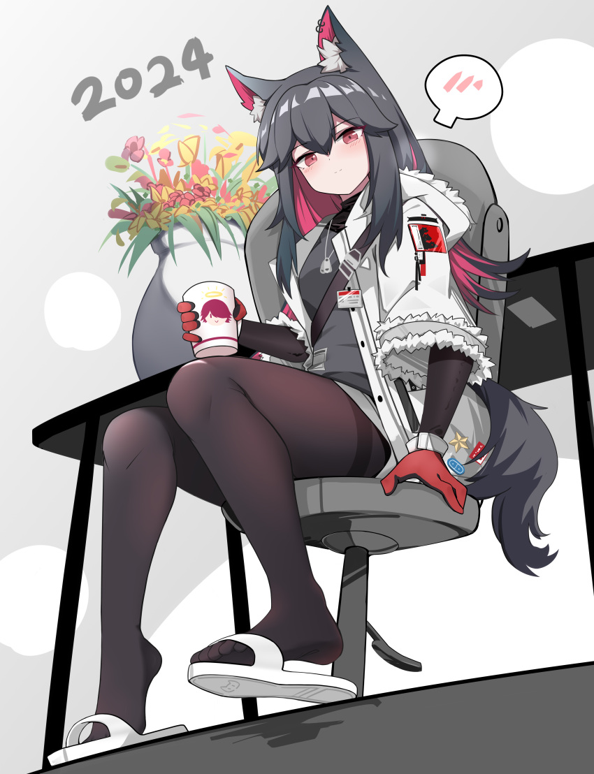 1girl 2024 absurdres animal_ear_fluff animal_ears arknights black_hair black_pantyhose black_shirt chair coat cup dog_tags exusiai_(arknights) fengqun fur-trimmed_hood fur-trimmed_sleeves fur_trim gloves highres holding holding_cup hood hooded_coat long_hair long_sleeves looking_at_viewer nail_polish official_alternate_costume open_clothes open_coat pantyhose pantyhose_under_shorts pink_hair plant potted_plant red_eyes red_gloves shirt shorts sitting solo spoken_blush table tail texas_(arknights) texas_(winter_messenger)_(arknights) thighband_pantyhose white_coat white_shorts winter_clothes winter_coat wolf_ears wolf_girl wolf_tail