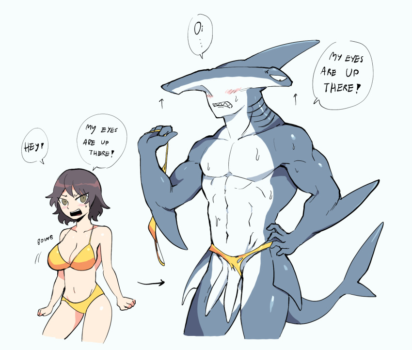 anthro bikini biped breasts claspers clothed clothing countershade_face countershade_torso countershading english_text female fin fish ftm_transformation gender_transformation gills grey_body ground_shark hair hammerhead_shark hi_res human_to_anthro male marine mopan muscular muscular_anthro muscular_male shark solo species_transformation swimwear tail tail_fin text transformation