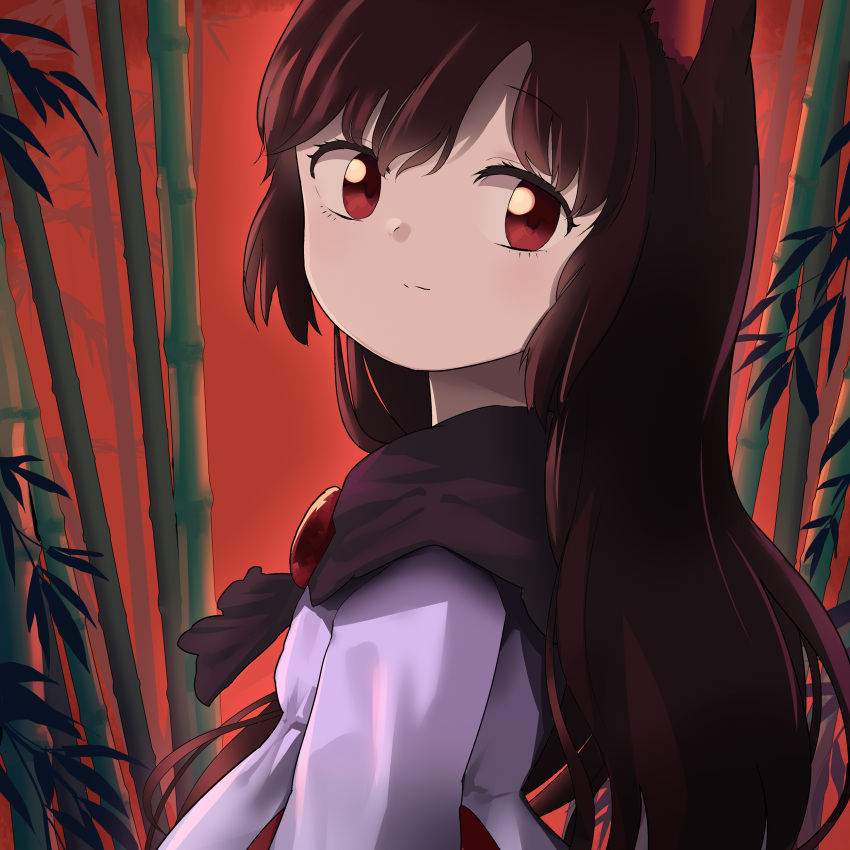 1girl absurdres animal_ears bamboo brooch cape commentary highres imaizumi_kagerou jewelry long_hair looking_back looking_to_the_side red_background red_eyes smile solo street_dog touhou upper_body very_long_hair wolf_ears wolf_girl