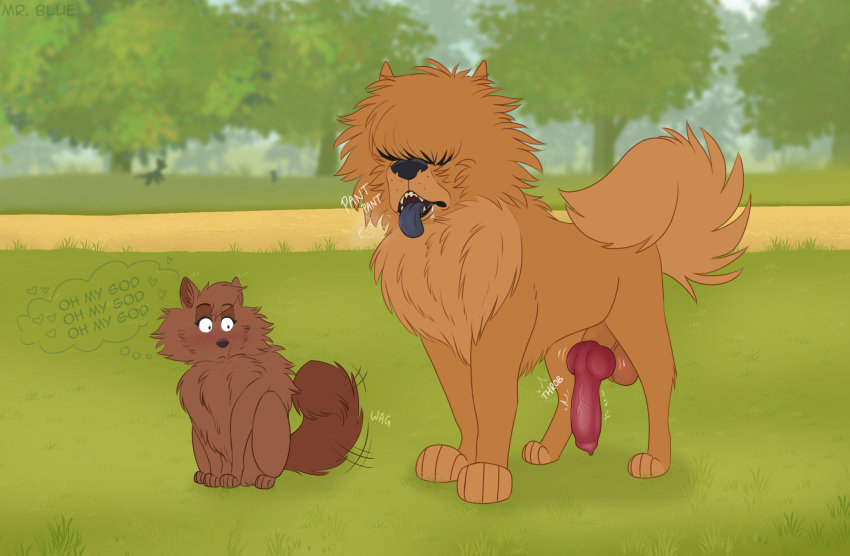 &lt;3 anatomically_correct anatomically_correct_genitalia anatomically_correct_penis animal_genitalia animal_penis balls blush canid canine canine_genitalia canine_penis canis chow_chow domestic_dog duo erection female feral genitals hi_res knot male male/female mammal mr._blue_(artist) onomatopoeia penis pomeranian sheath sound_effects speech_bubble spitz tail tail_motion tailwag text vein veiny_penis